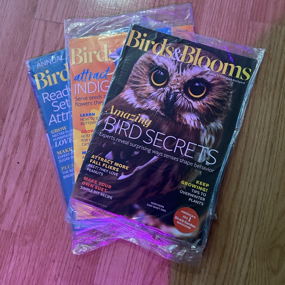 Magazine Set - Vibrant Covers